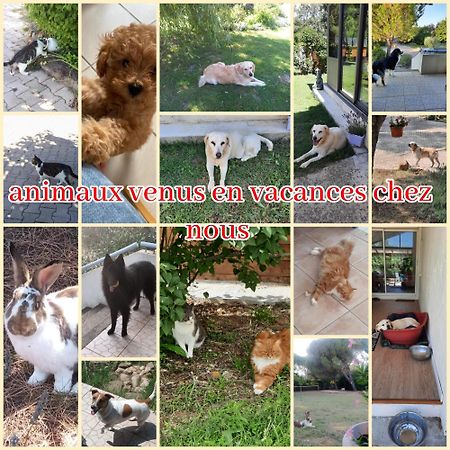 Gite Ma Vie La 3 Etoiles, Jacuzzi, Animaux Acceptes Saint-Julien-de-Cassagnas Buitenkant foto