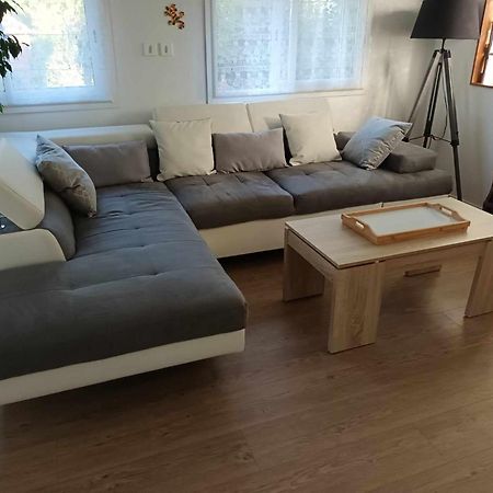 Gite Ma Vie La 3 Etoiles, Jacuzzi, Animaux Acceptes Saint-Julien-de-Cassagnas Buitenkant foto