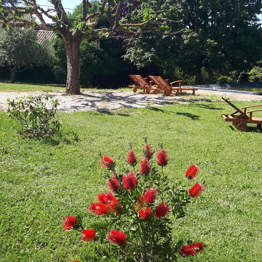 Gite Ma Vie La 3 Etoiles, Jacuzzi, Animaux Acceptes Saint-Julien-de-Cassagnas Buitenkant foto