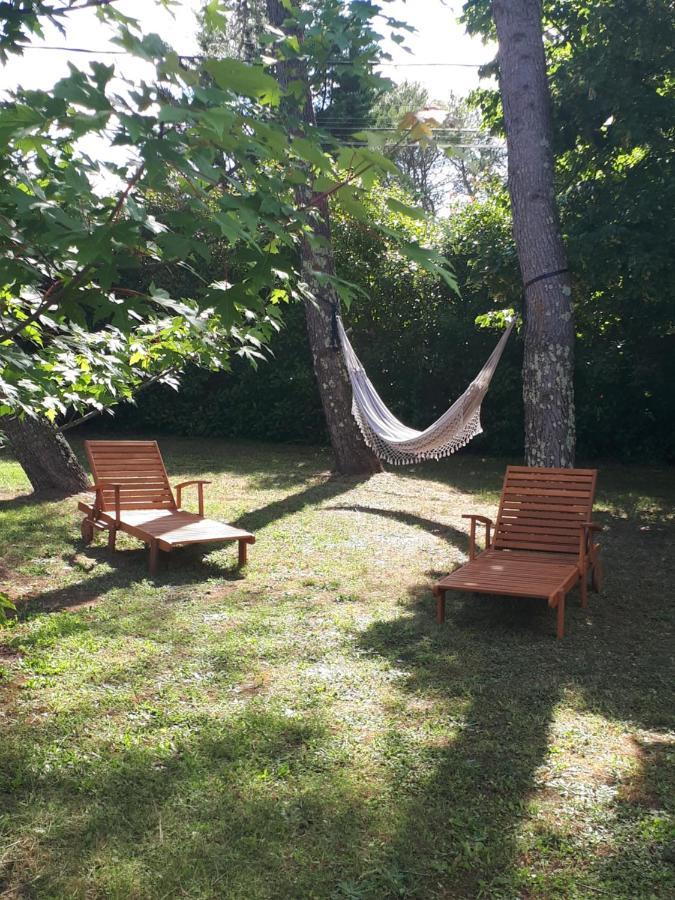 Gite Ma Vie La 3 Etoiles, Jacuzzi, Animaux Acceptes Saint-Julien-de-Cassagnas Buitenkant foto