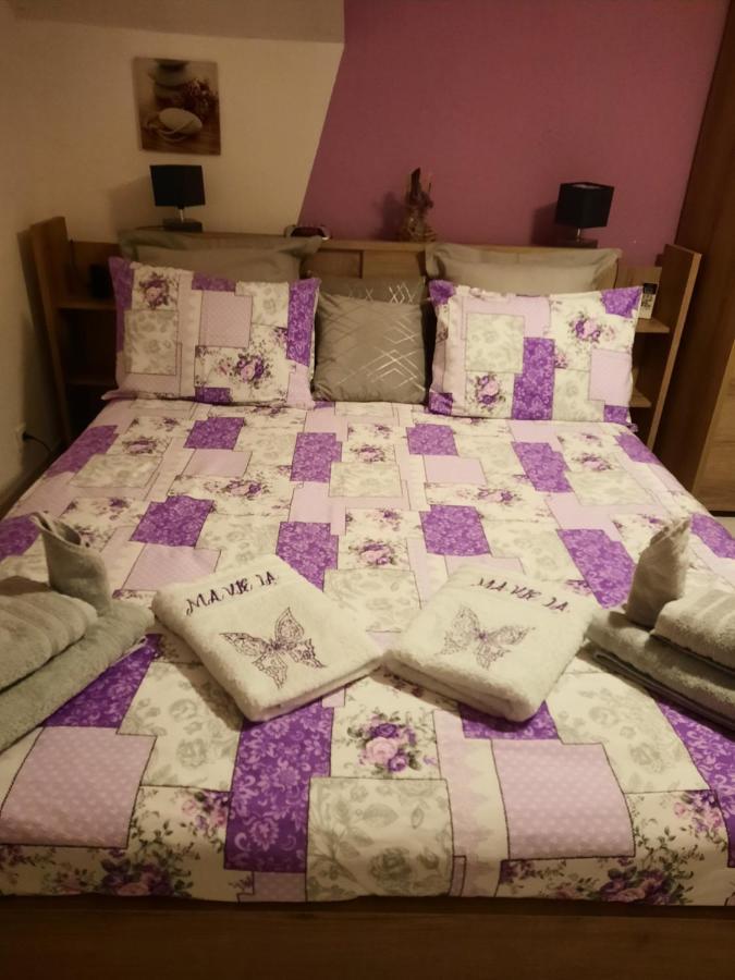 Gite Ma Vie La 3 Etoiles, Jacuzzi, Animaux Acceptes Saint-Julien-de-Cassagnas Buitenkant foto