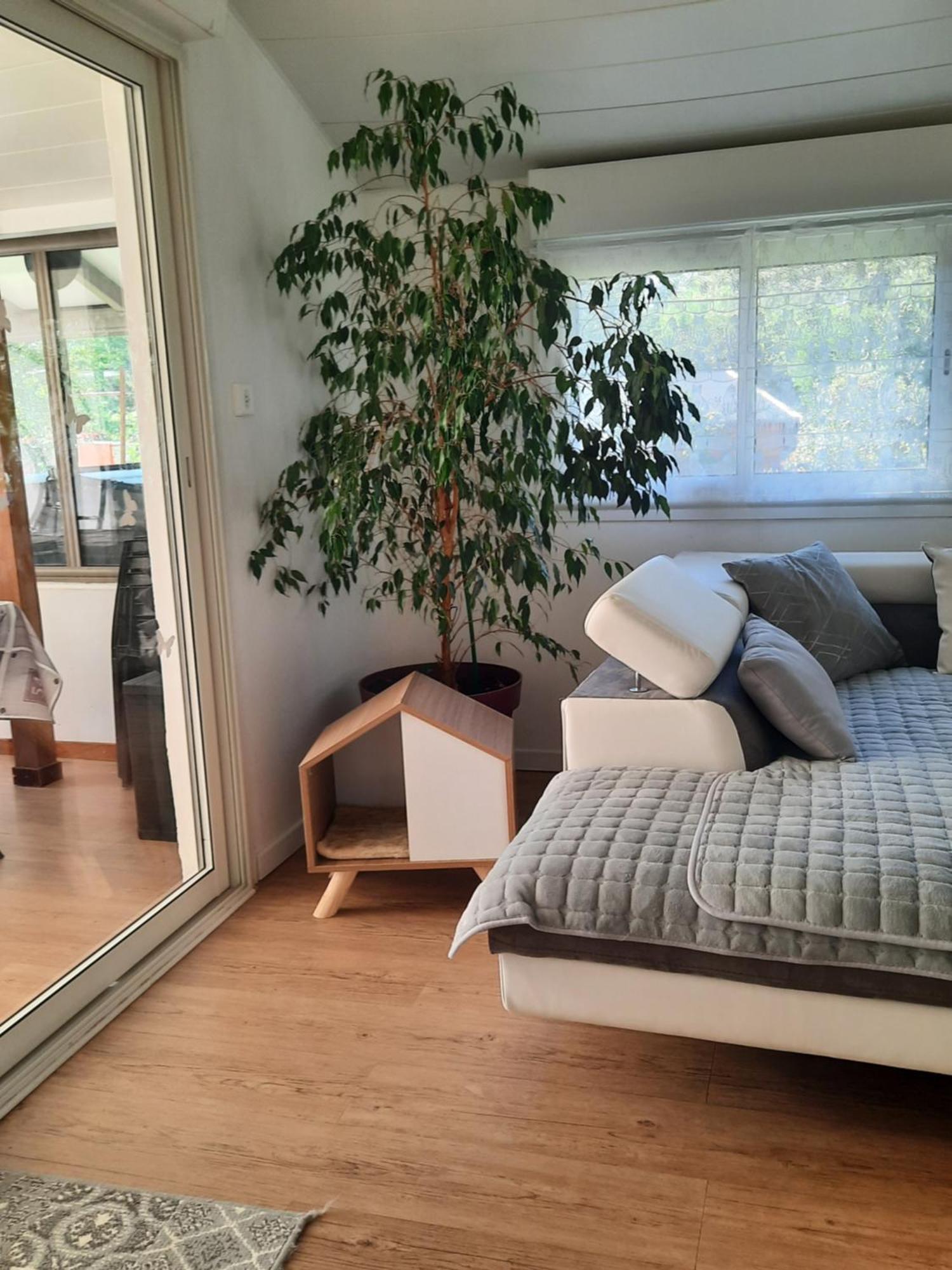 Gite Ma Vie La 3 Etoiles, Jacuzzi, Animaux Acceptes Saint-Julien-de-Cassagnas Buitenkant foto