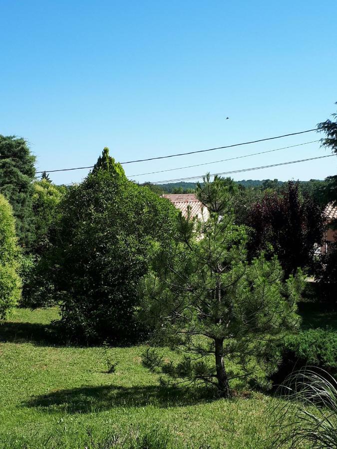 Gite Ma Vie La 3 Etoiles, Jacuzzi, Animaux Acceptes Saint-Julien-de-Cassagnas Buitenkant foto